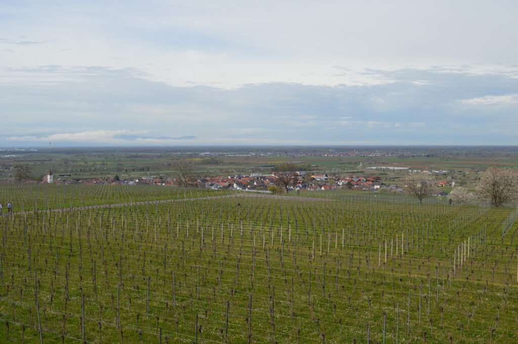 Konigschaffhausen